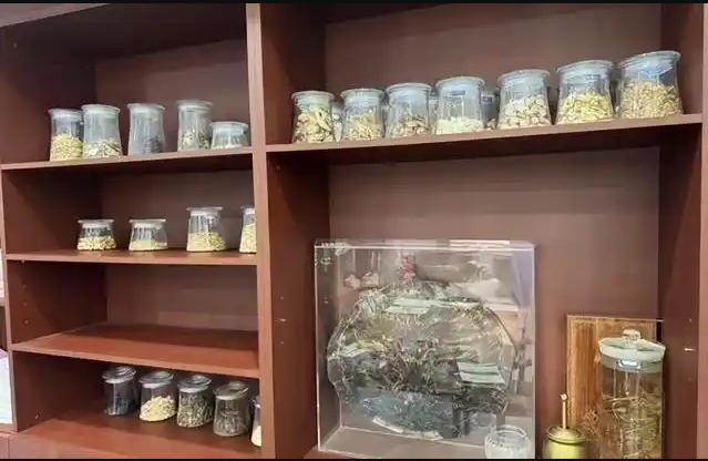 公立医院改革与高质量发展｜打造全市褥疮中医诊疗高地，破解失能老人照护难题
